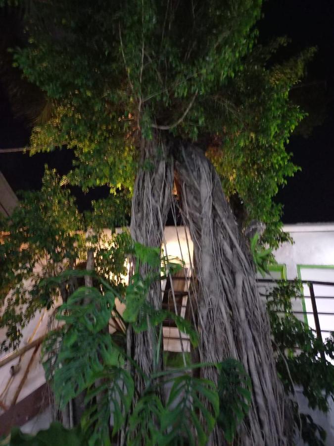 Mundo Maya Tulum Exterior foto